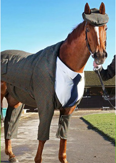 上海金慈實(shí)業(yè)有限公司，丙綸高強(qiáng)絲，丙綸色絲，丙綸中空絲，丙綸異形絲，丙綸夜光紗，高強(qiáng)丙綸絲，丙綸工業(yè)絲，丙綸熒光絲